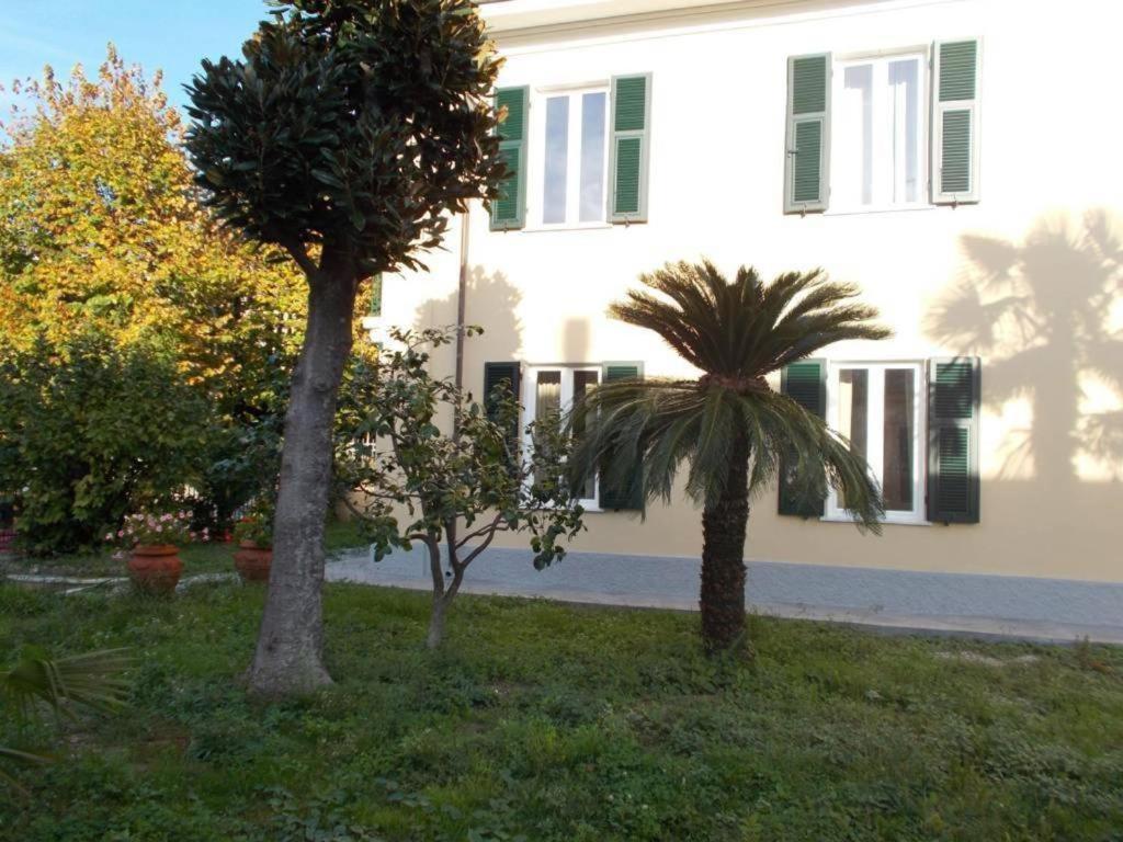 B&B Rossana Каррара Екстер'єр фото